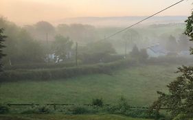 Aelybryn
